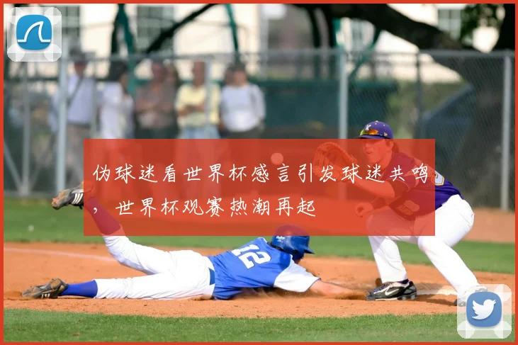 伪球迷看世界杯感言引发球迷共鸣,世界杯观赛热潮再起